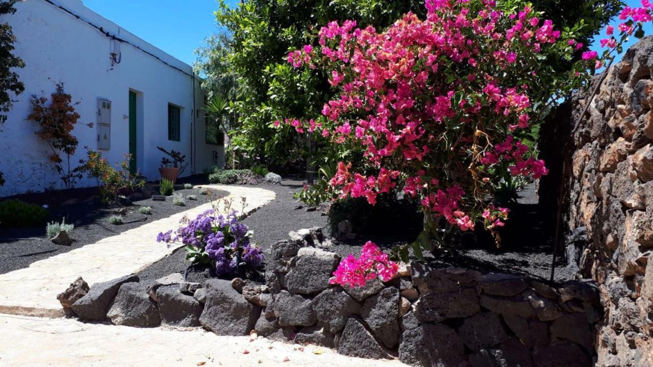 Casa Tara Βίλα Mácher Εξωτερικό φωτογραφία